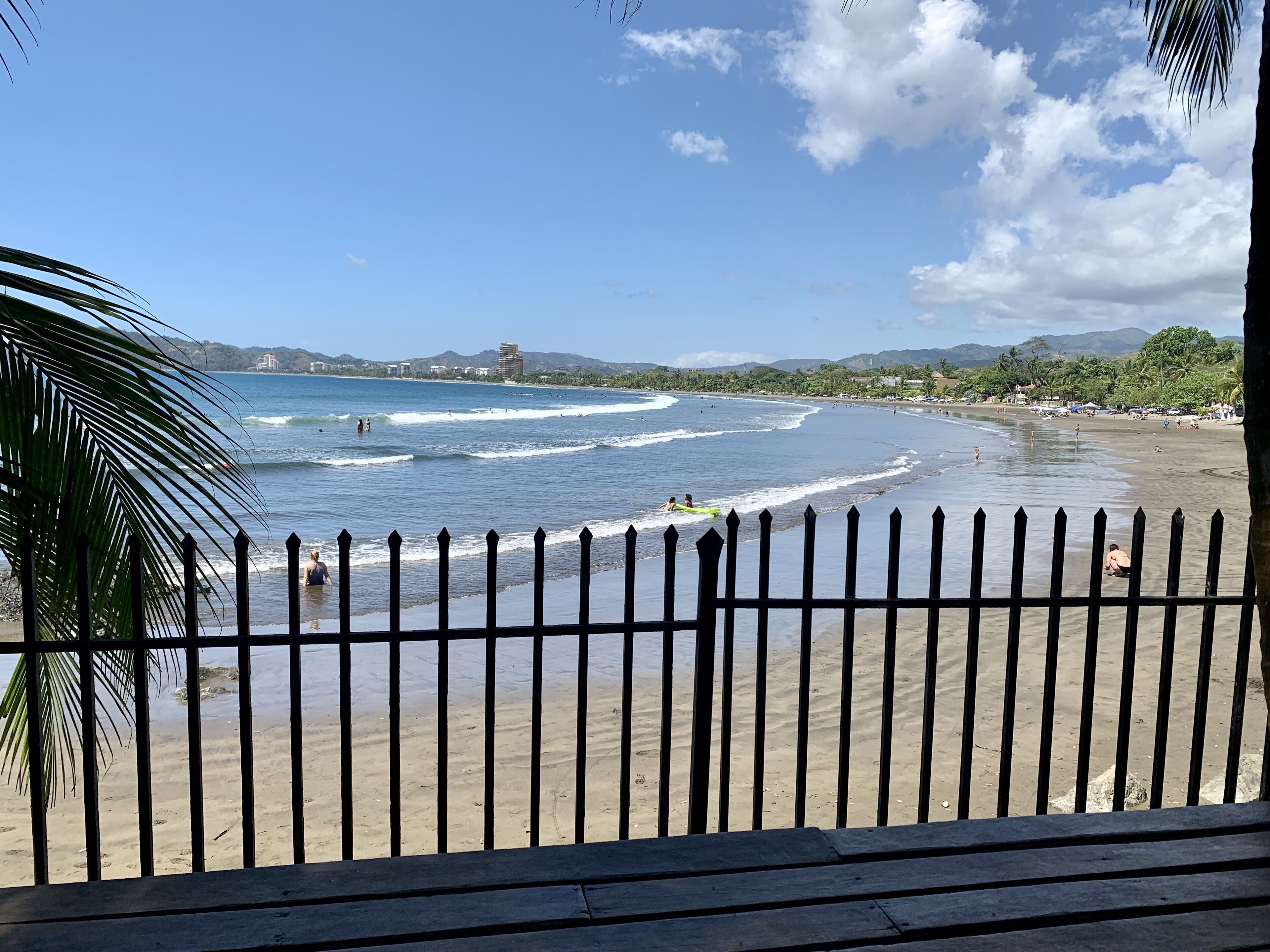 A beach view with a wooden fence, palm trees, and a clear sky.