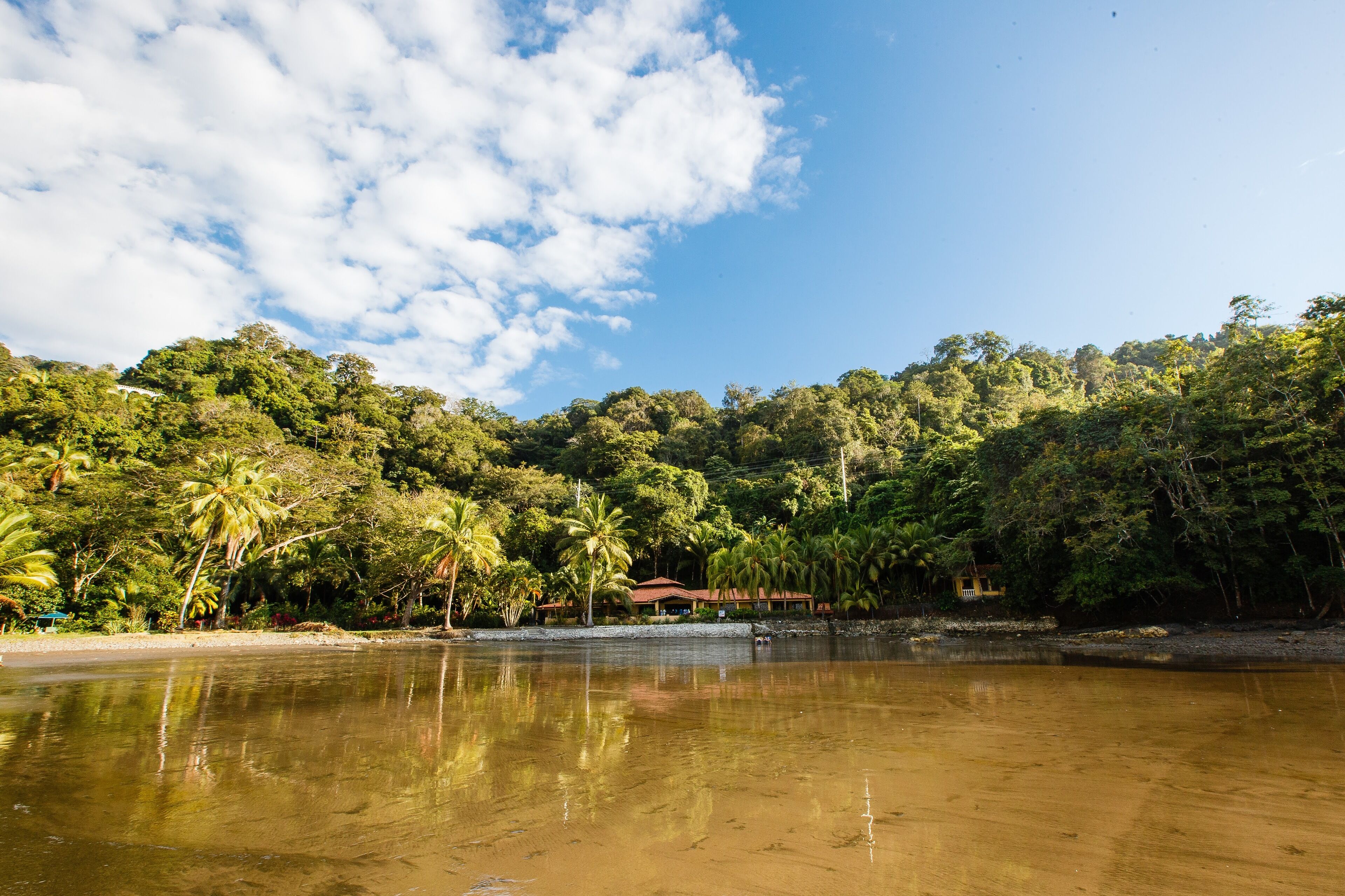 Un paysage tropical avec une étendue d’eau dans laquelle se reflètent les arbres et un petit bâtiment.