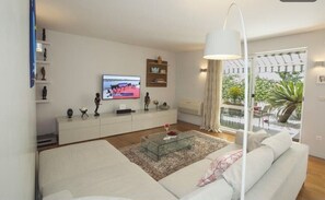 Flat-screen TV, books
