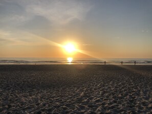 Sun-loungers, beach towels