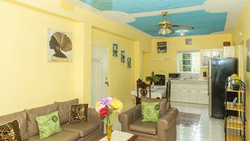 Televisor, videojocs, reproductor de DVD i llibres