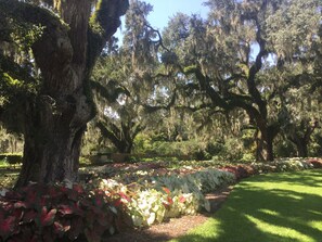 Overnattingsstedets uteområder