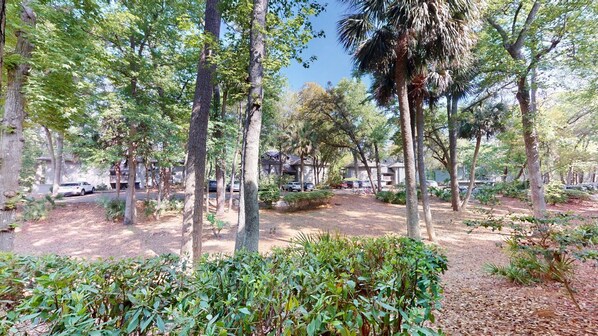 Surrounded by lush trees and residential buildings, this serene outdoor space offers a peaceful atmosphere.