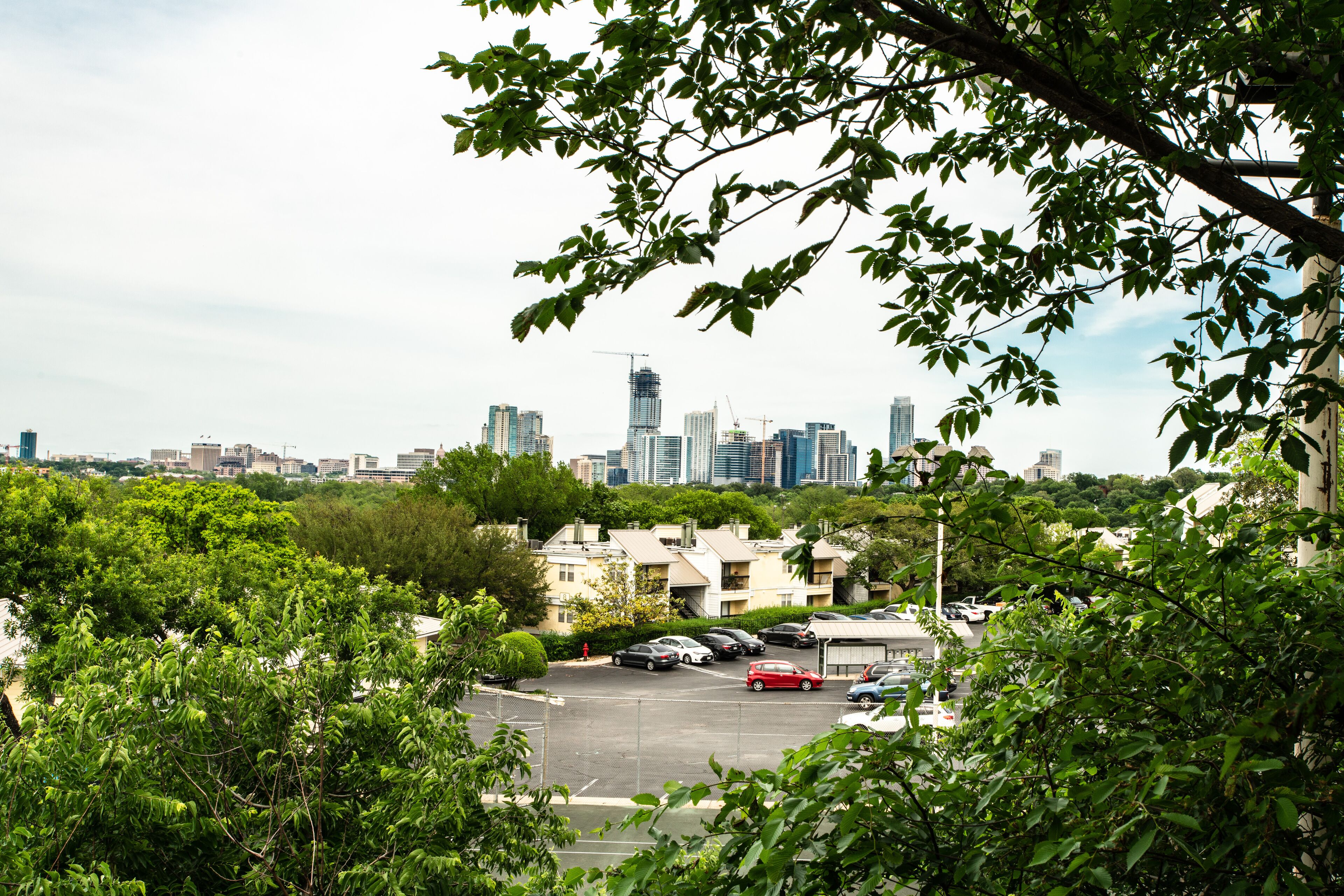 Amazing view, walk to Barton Springs, Zilker Park & lake! Close to everything!