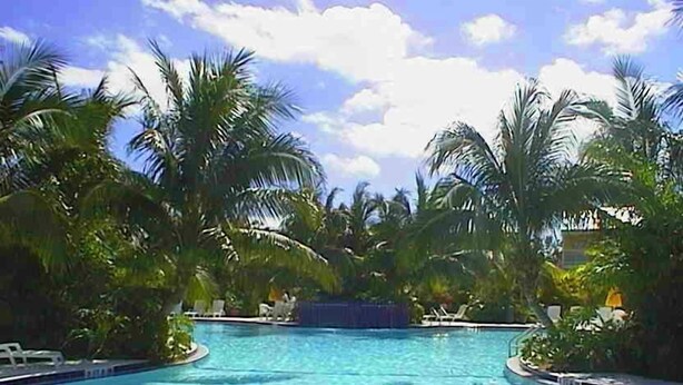 Une piscine entourée de palmiers et de chaises longues.