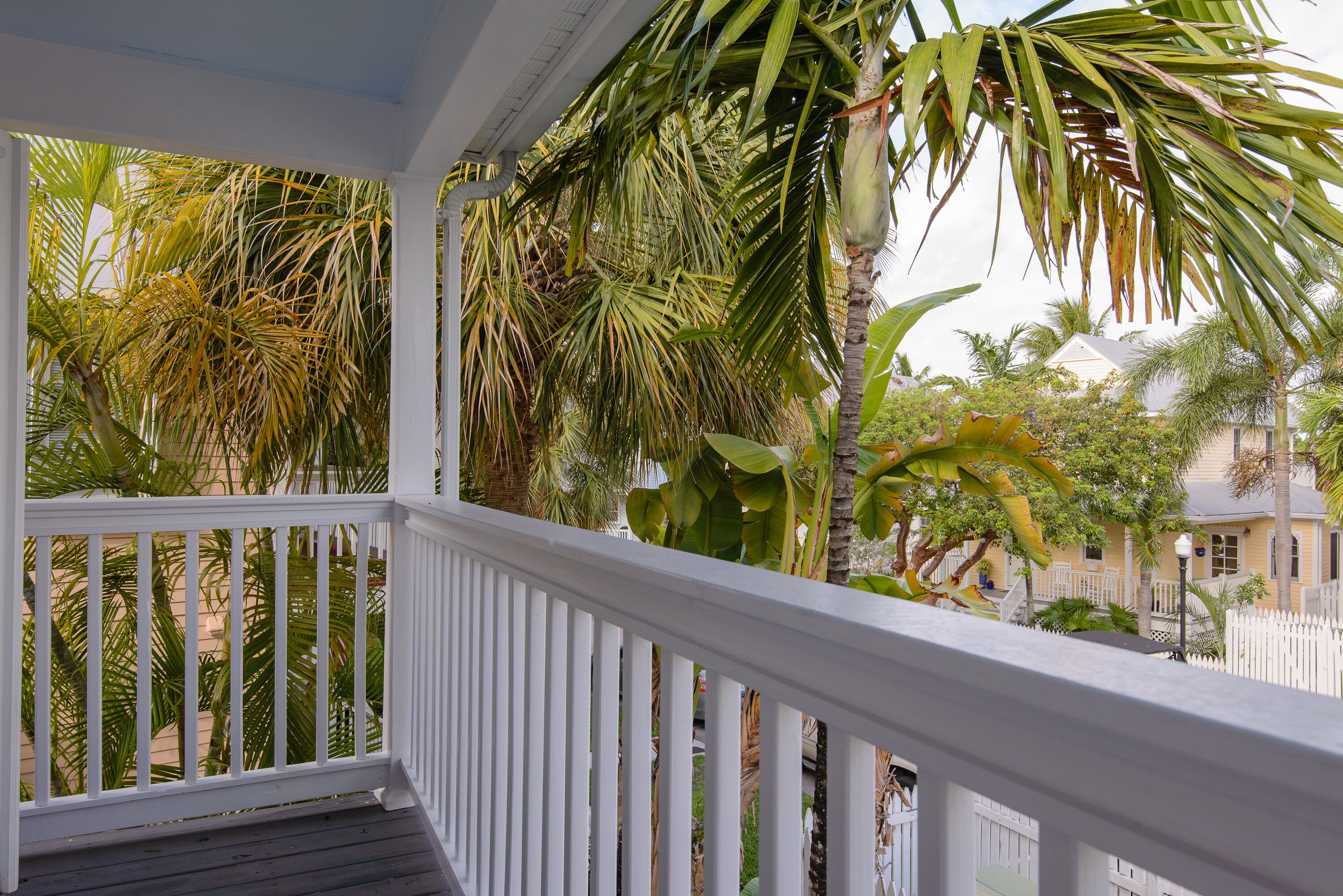 A covered porch with white railings, surrounded by lush tropical plants and a white picket fence.