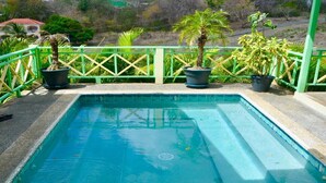 A rectangular pool with a green metal railing, surrounded by potted plants.