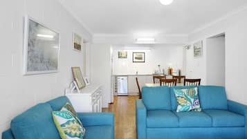 Télévision, cheminée, lecteur de DVD