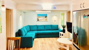 TV, fireplace, DVD player
