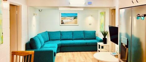 TV, fireplace, DVD player