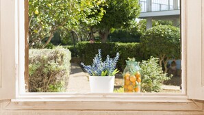 A window view of a garden with a potted plant and a jar of oranges. - Can Xim 080 fantastic house close to the beach, with terrace, garden, barbecue and WiFi. (Alcúdia)