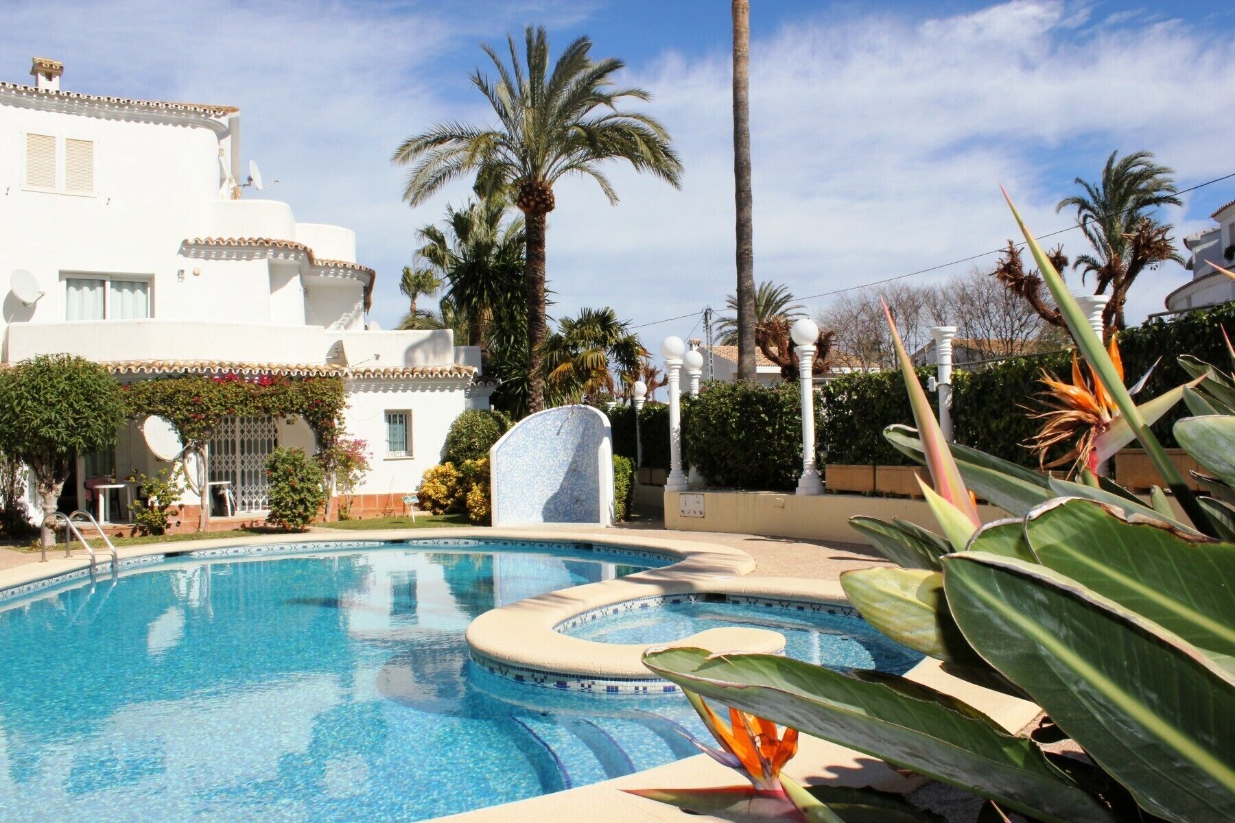 A swimming pool with a tiled edge, surrounded by palm trees and a white building with a tiled roof.