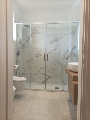 Combined shower/bathtub, hair dryer, bidet, towels