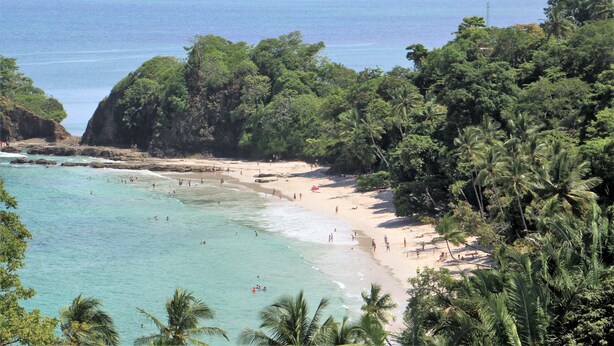 Ein Strand mit klarem türkisblauem Wasser, sandigem Ufer und üppiger grüner Vegetation.