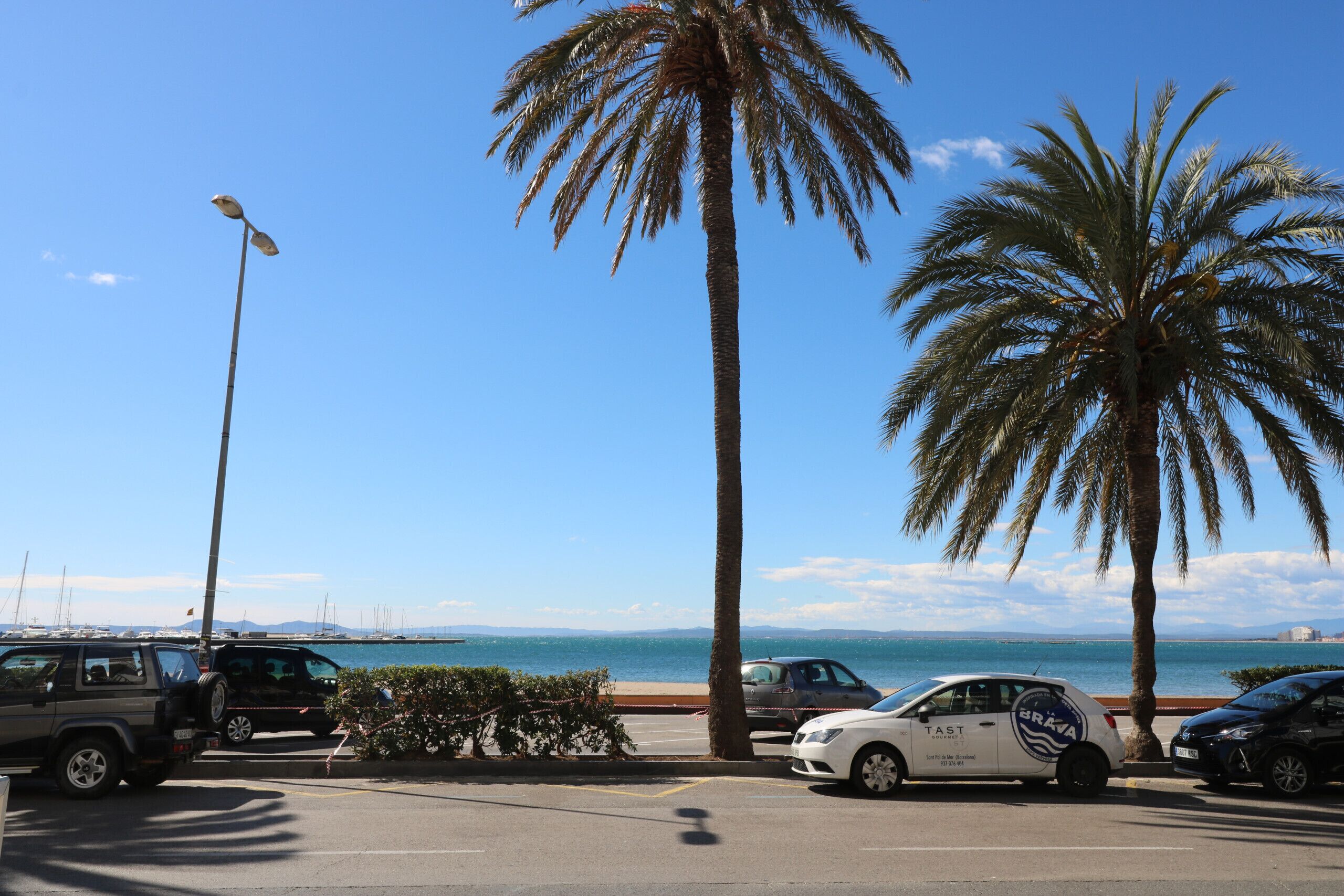 A parking area with vehicles, palm trees, and a clear view of the sea.
