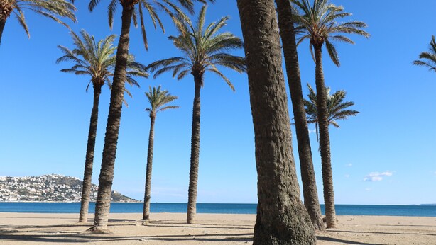 Playa