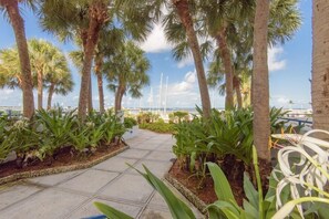 Enceinte de l’hébergement