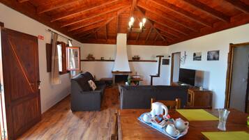 Een televisie, een open haard, boeken en een stereo