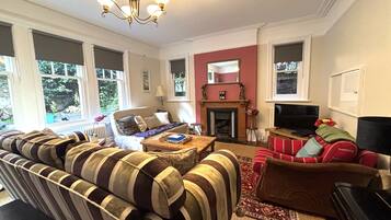 Smart TV, fireplace, DVD player, books