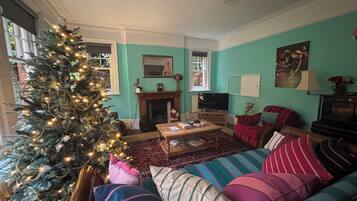 Smart TV, chimenea, reproductor de DVD y libros