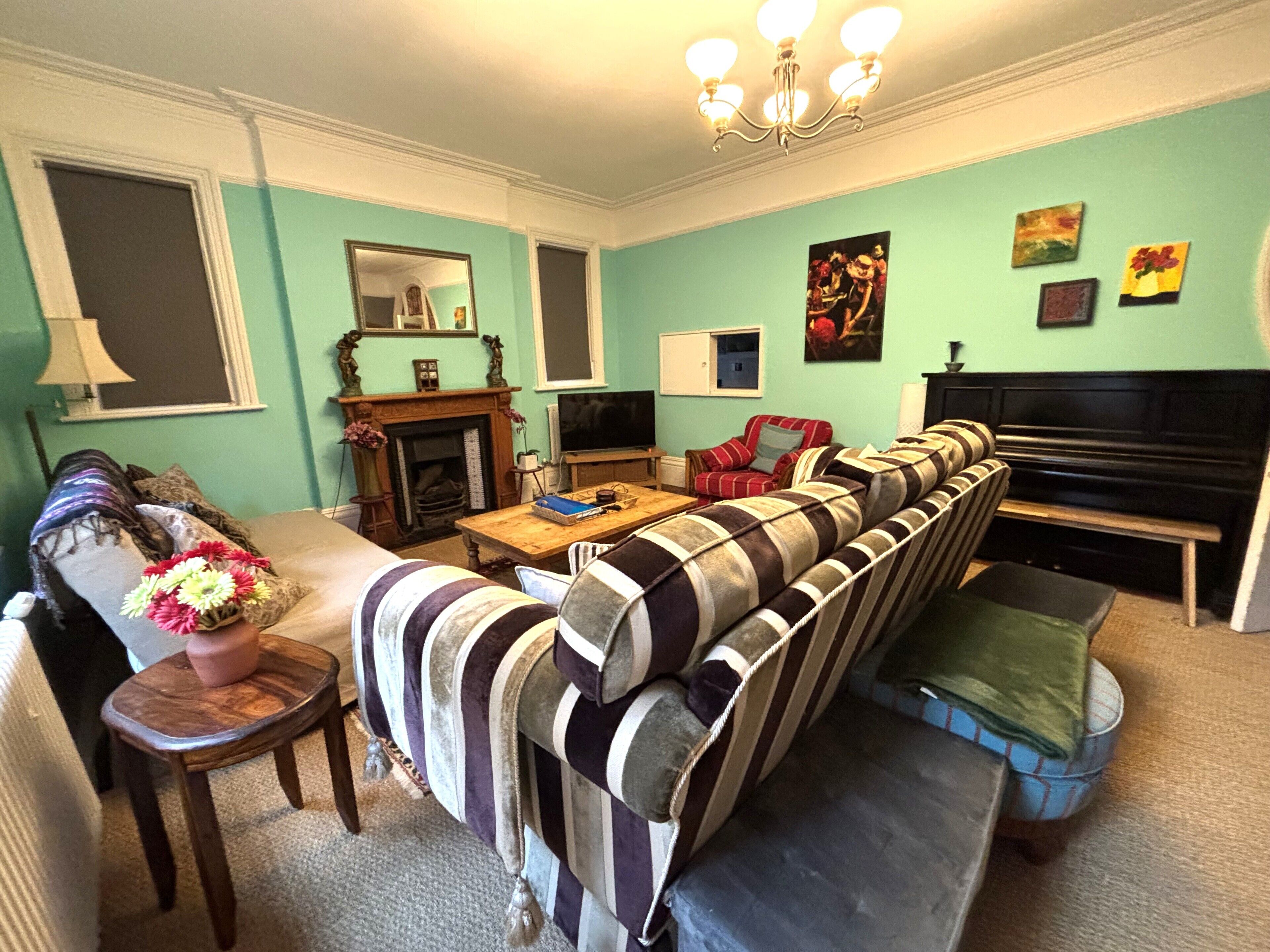 Smart TV, fireplace, DVD player, books