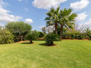 Property grounds - Es Rafalot - Beautiful villa with pool and garden in Binissalem (Binissalem)