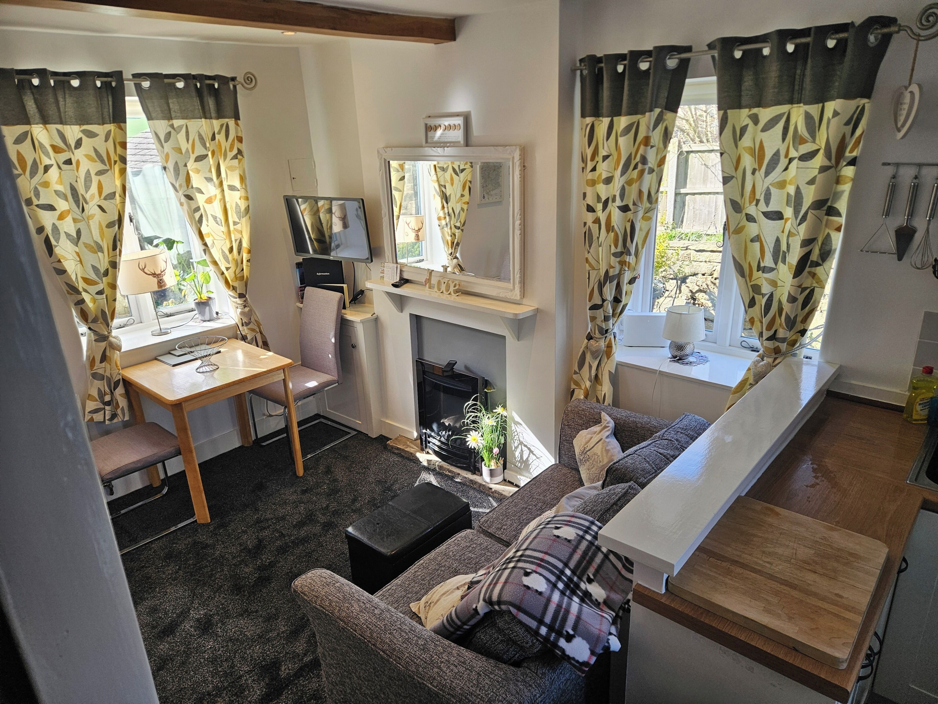 Smart TV, fireplace, books