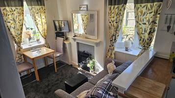 Smart TV, fireplace, books