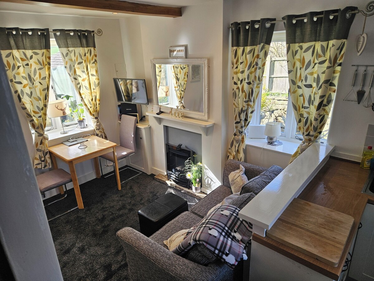 Imagen de perfil del propietario o de la propietaria