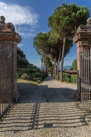 Property grounds - Villa Controni     . (Capannori)