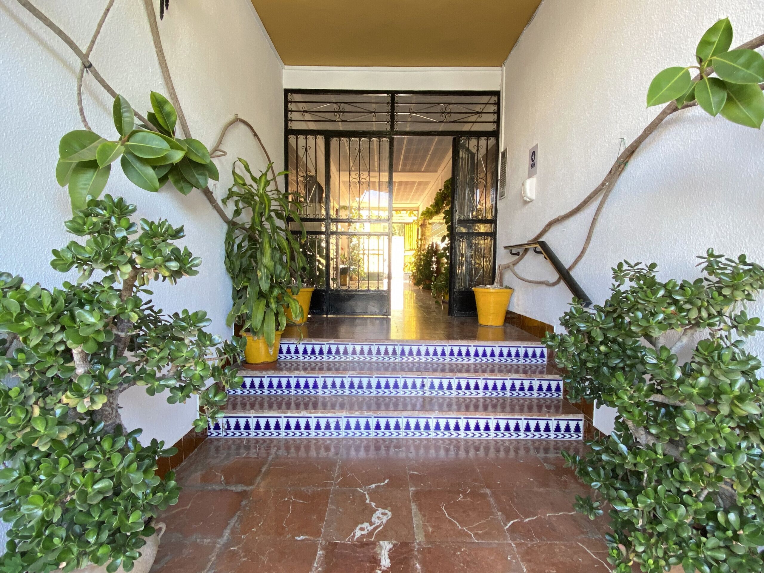 A hallway with steps leading to a door, flanked by potted plants and a tiled floor.