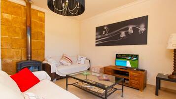 Televisie, een open haard en een dvd-speler