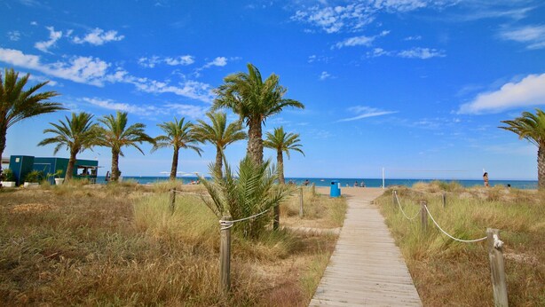 A wooden boardwalk leading to a beach with palm trees and a clear blue sky. - Apartment in beachfront Albaranas (Denia)