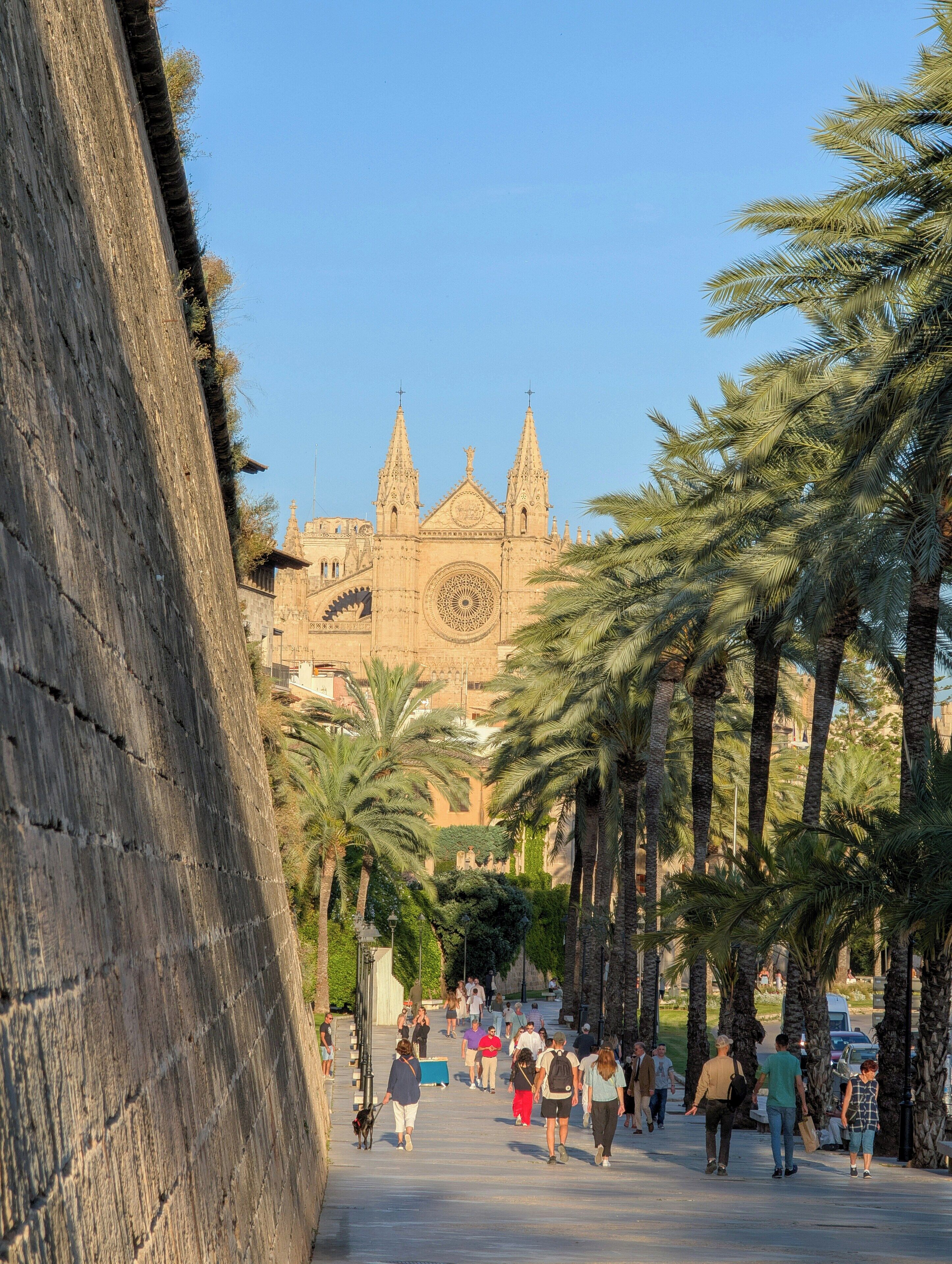 A historic building with two spires and a large circular window, surrounded by palm trees and a paved walkway.