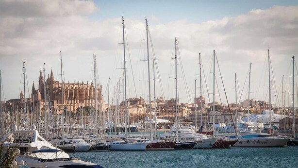 A marina with numerous sailboats docked, a prominent cathedral in the background, and a clear sky. - Can Toni - Mallorcan style country house in Binissalem (Lloseta)