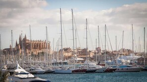 Een jachthaven met veel zeilboten afgemeerd, een opvallende kathedraal op de achtergrond, en een heldere lucht.