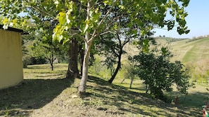 Enceinte de lâhĂ©bergement