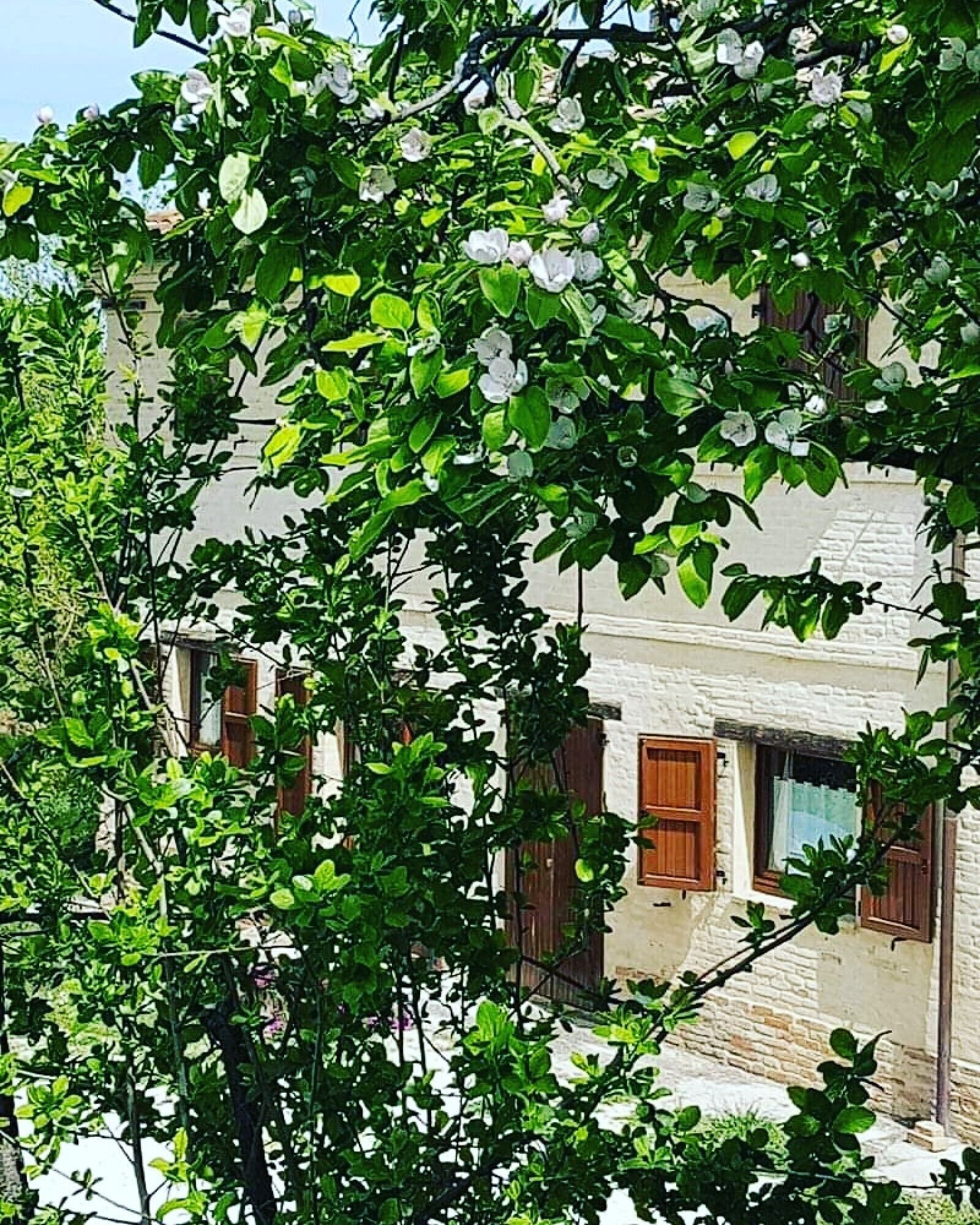 Detalle del exterior