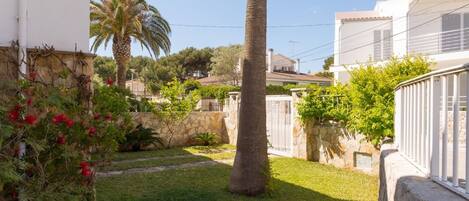 A residential area with a well-maintained lawn, a palm tree, and stone walls.