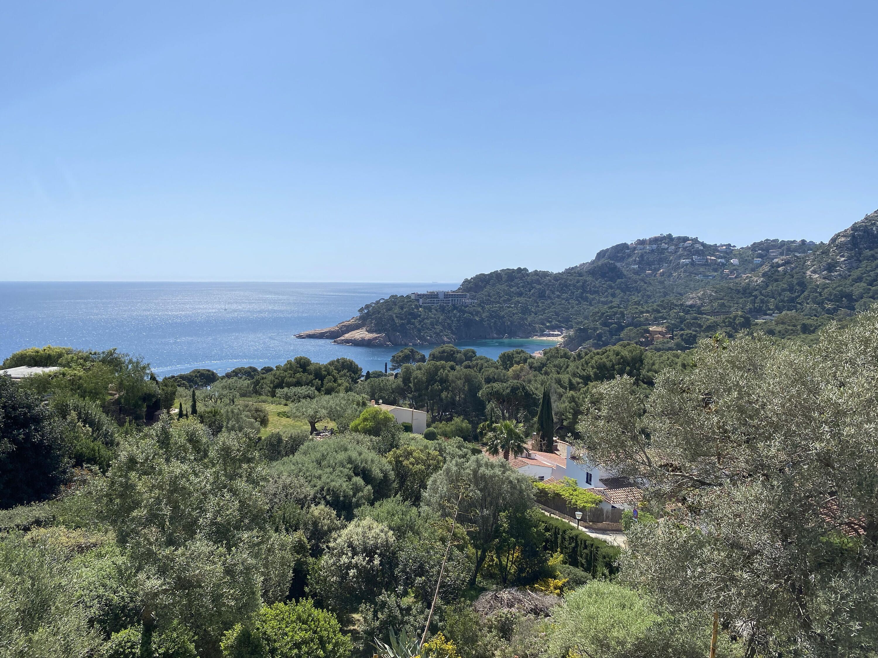A coastal landscape with dense greenery, a clear blue sky, and a view of the sea.