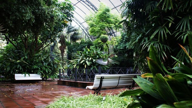 An indoor garden with a bench, lush greenery, and a glass ceiling structure. - Singular Stays Botanico 202 (València)
