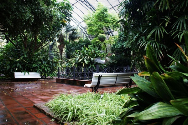 Parco della struttura