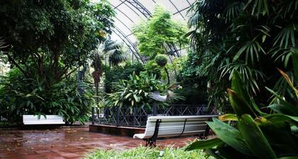 Singular Stays Botanico 202