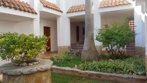 Un patio con una palmera, plantas en macetas y un techo de tejas.