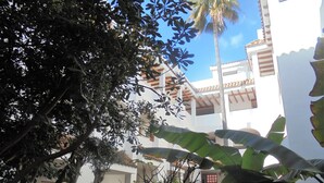Un patio con un edificio blanco, palmeras y un sendero de piedra.