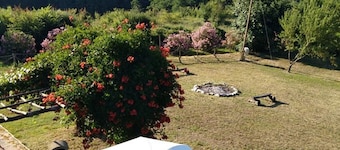 Vindmølle et lite paradis