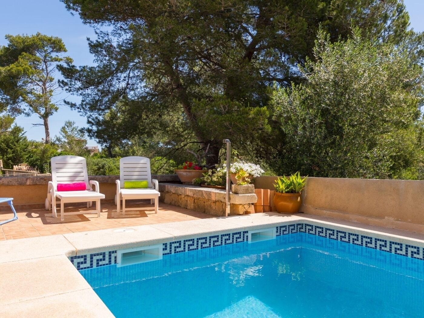 A swimming pool with a geometric tile pattern, surrounded by a stone wall and potted plants.