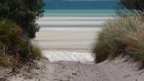 A beach path leading to a sandy beach with clear blue water.