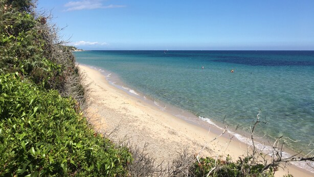 Une plage à l’eau claire et au rivage sablonneux, entourée de verdure.