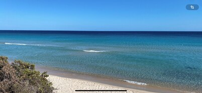 Giulia terraced house in the shade of pine trees 500 meters from the beach.